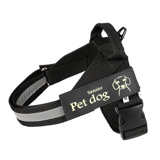 Dog leash and chest harness